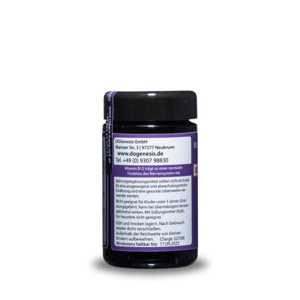 Vitamin B12 Pastillen - 100 Lutschpastillen – Bild 3
