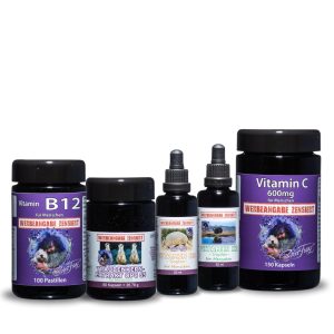 Das Fundament der Gesundheit I Set