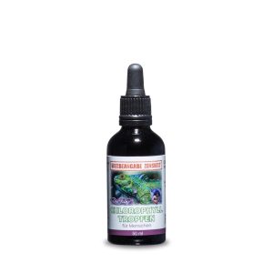 Chlorophyll Tropfen – 50 ml