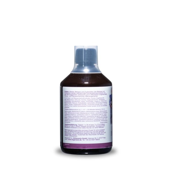 Darm Probiotikum – 500 ml – Bild 3