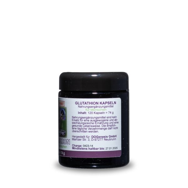 L-Glutathion reduziert – 120 Kapseln – Bild 2