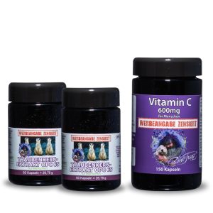 2x OPC 65 - 60 Kapseln + Vitamin C 600mg - 150 Kapseln I Set