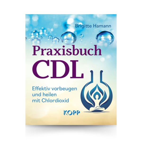 Praxisbuch CDL I Brigitte Hamann