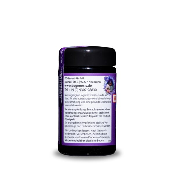 Shilajit Mumijo - 120 Kapseln I Robert Franz – Bild 4