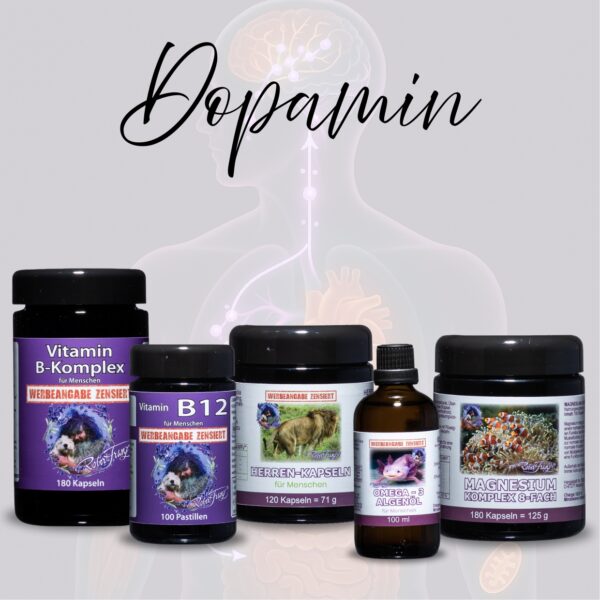 Dopamin-Reset Set - Vitamin B-Komplex, Vitamin B12, Herren Kapseln, Omega3, Magnesium 8-fach – Bild 2